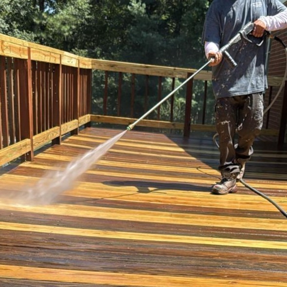 Freshly painted living room with natural light