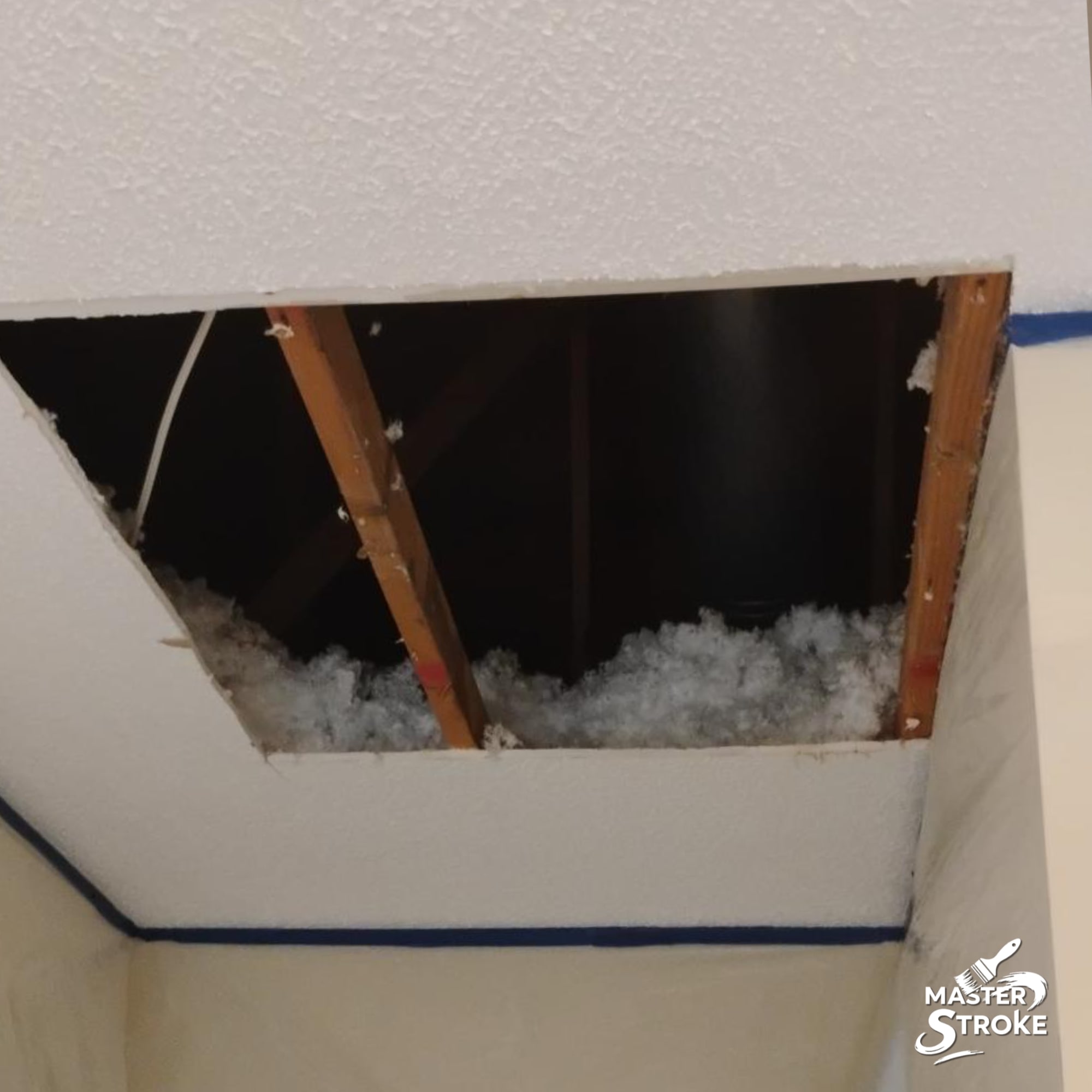 Exterior siding repaint